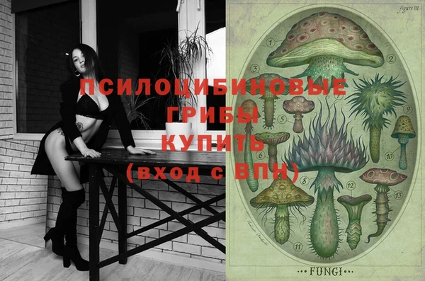 бутират Бородино