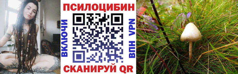 Галлюциногенные грибы прущие грибы  Краснообск 